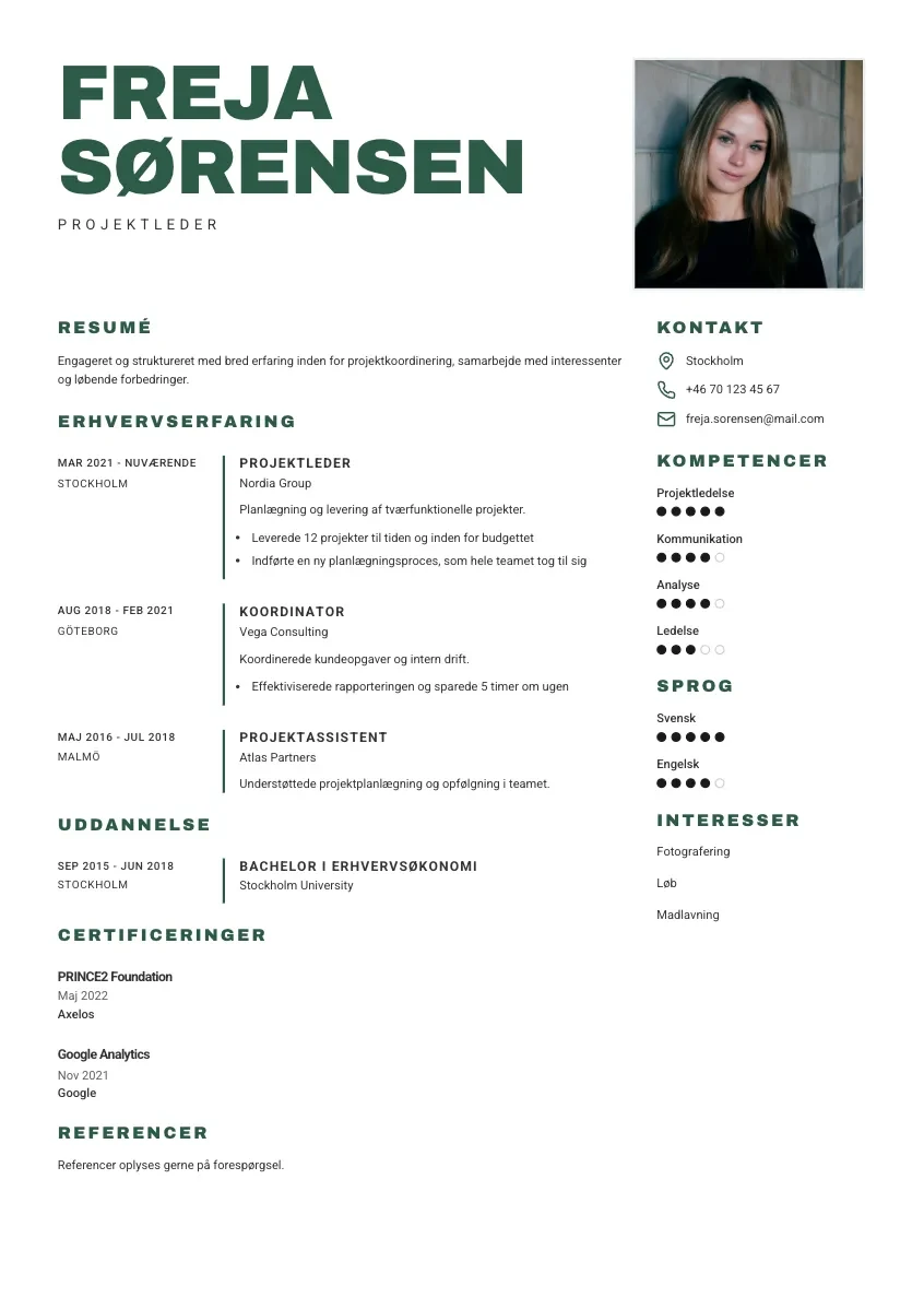 CV-mall Arne