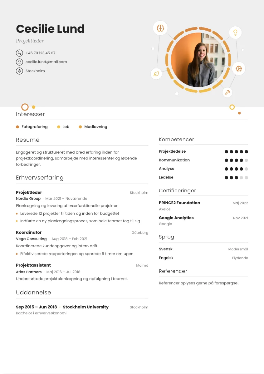 CV-mall Elin