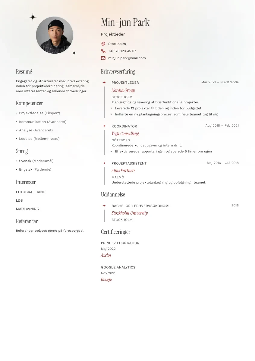 CV-mall Stig