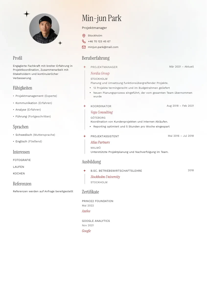 CV-mall Stig