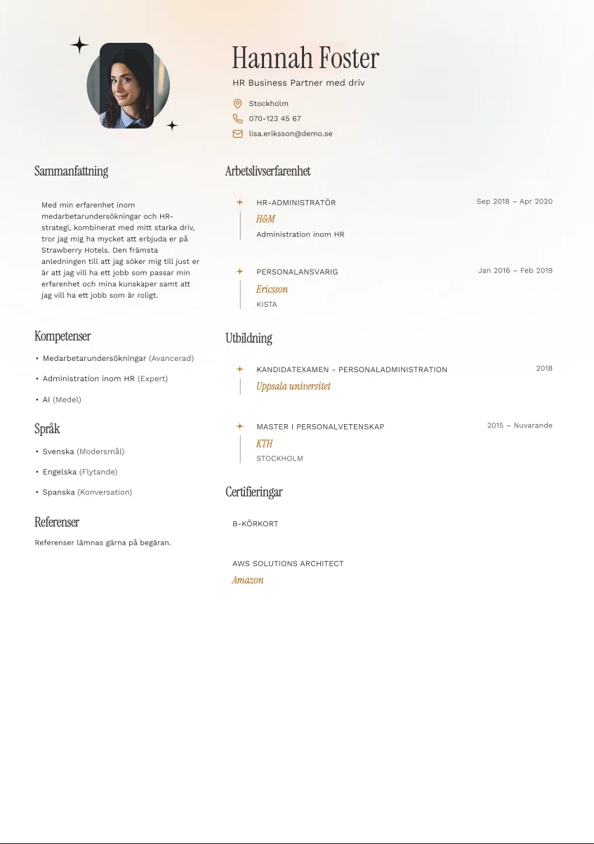 CV-mall Stig