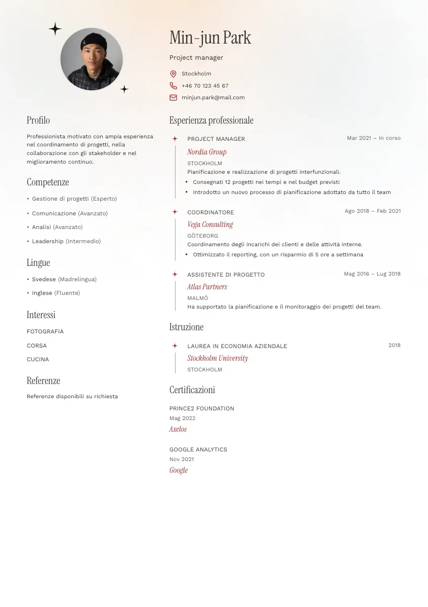 CV-mall Stig