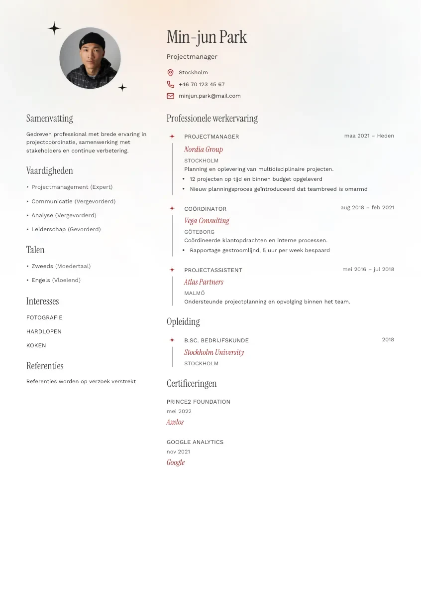 CV-mall Stig