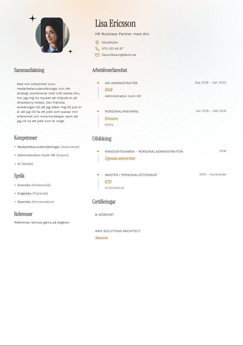 CV-mall Stig