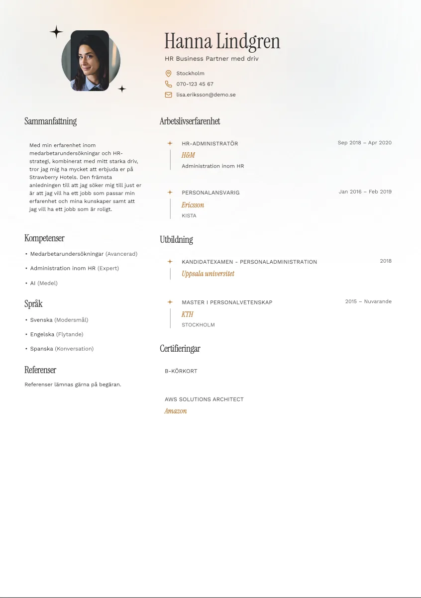 CV-mall Stig