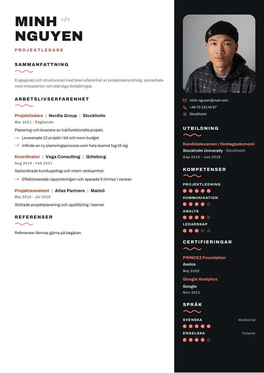 CV-mall Viggo